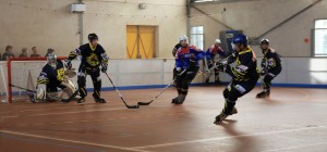 Tigers rochefort Roller Hockey