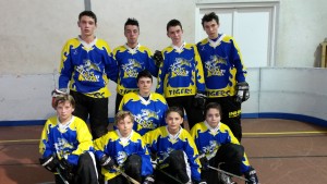 Tigers minimes